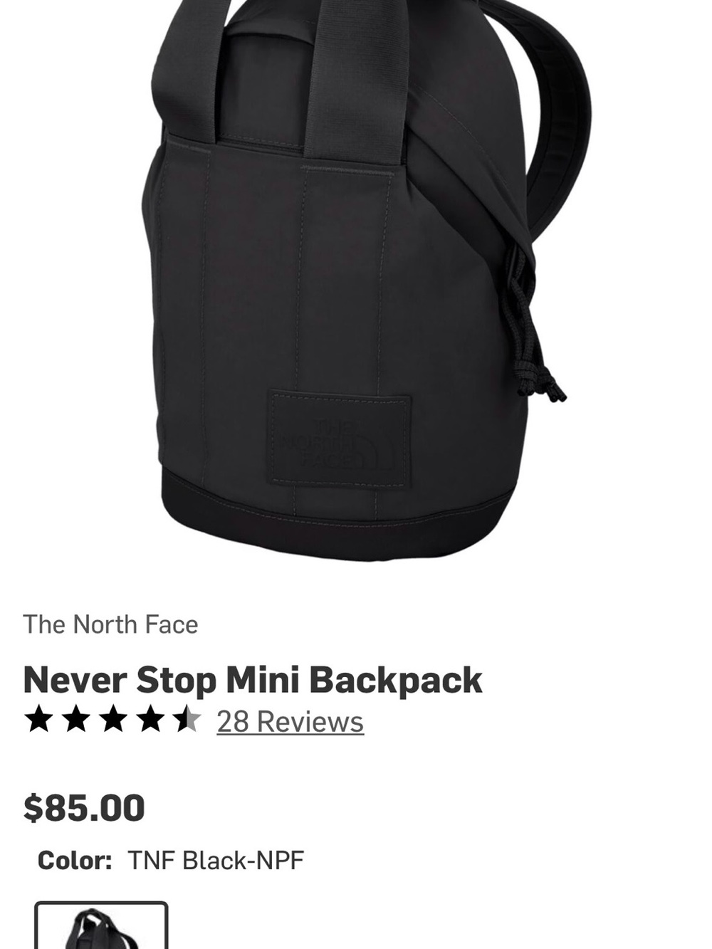 The North Face Never Stop Mini Backpack in Black